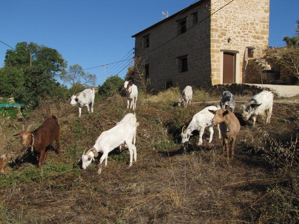 La Telleria Valjunquera Exterior photo